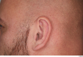 Neeo ear 0001.jpg